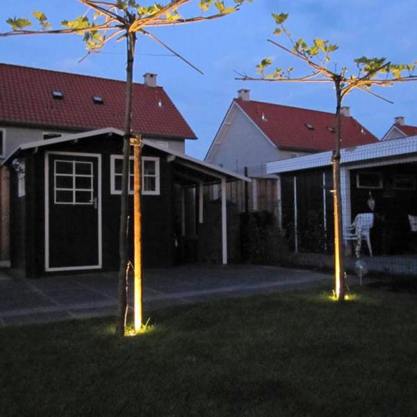 Beleuchteter Garten mit zwei Bäumen, einem Holz-Gartenhaus und LED-Außenbeleuchtung bei Dämmerung.