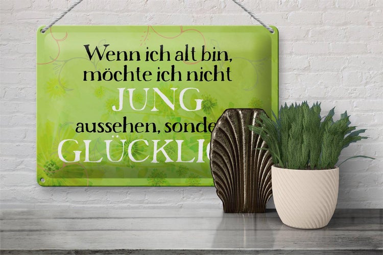 Blechschild Spruch 30x20cm wenn alt möchte jung Schild