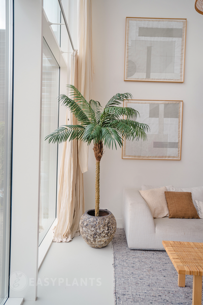 Künstliche Pflanze Phoenix Palm De Luxe 180 cm