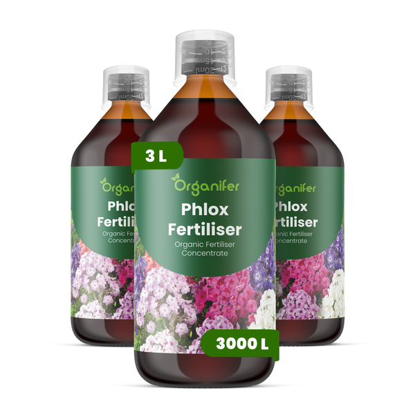 Drei Flaschen Organifer Phlox Dünger, organisches Düngerkonzentrat, 3 Liter.