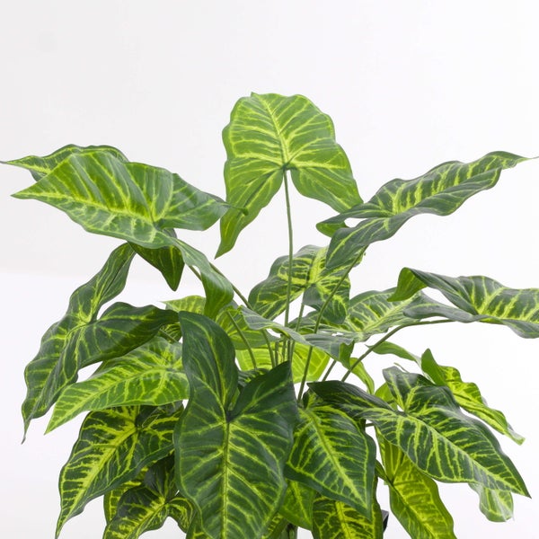 Künstliche Syngonium-Pflanze mit pfeilförmigen, grün-gelb gemusterten Blättern.