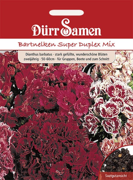 Samentüte für Bartnelken Super Duplex Mix, Dianthus barbatus, gefüllte Blüten, zweijährig, Wuchshöhe 50 bis 60 Zentimeter, Dürr Samen Logo.