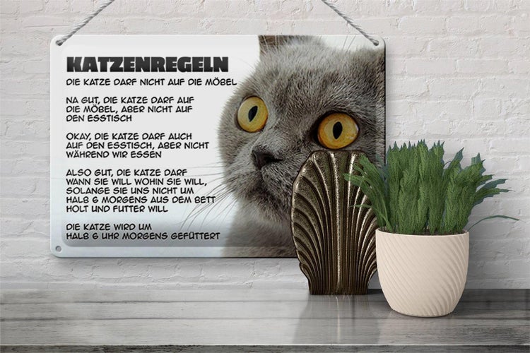 Blechschild Spruch 30x20cm Katzenregeln Katze darf nicht