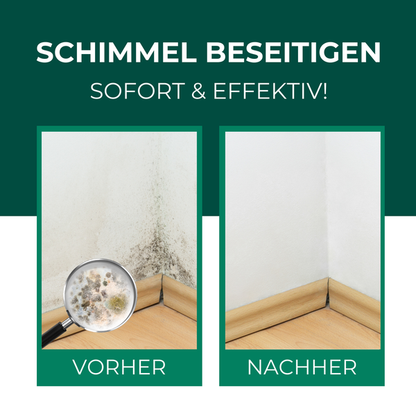 Vorher-Nachher-Vergleich einer Wand mit und ohne Schimmelbefall