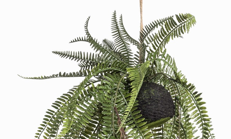 Künstliche Hängepflanze Farn in einem Moosball Kokedama