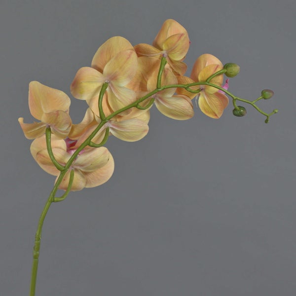 Künstlicher Orchideenzweig mit pfirsichfarbenen Blüten und grünen Knospen
