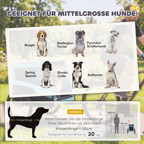 Infografik für mittelgroße Hunde bis 20 Kilogramm und unter 52 Zentimeter Körperlänge. Beispiele: Beagle, Border Collie. Hinweis zum Messen.