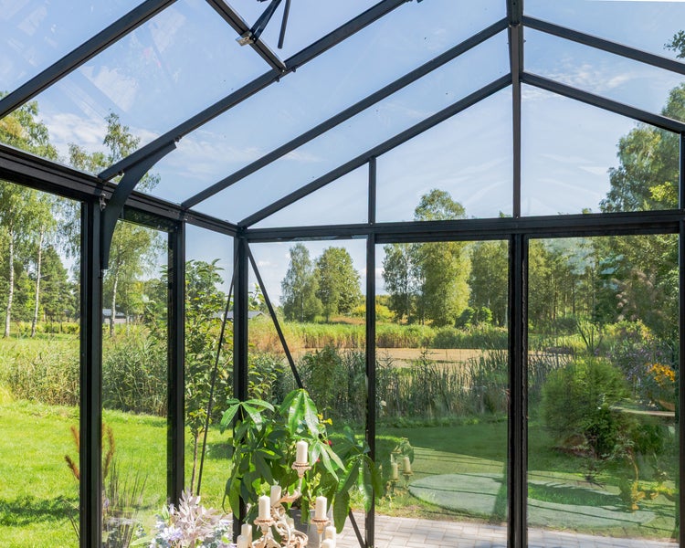 Blick aus einem hellen Gewächshaus mit schwarzem Metallrahmen und Glaswänden auf einen grünen Garten mit Bäumen.