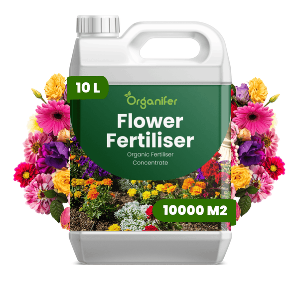 10 Liter Kanister Organifer Blumendünger, organisches Düngerkonzentrat für circa 10.000 Quadratmeter, mit Blumenabbildungen auf dem Etikett.