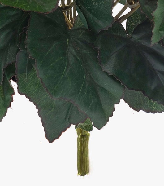 Detailaufnahme eines Blattes der Zimmerpflanze Croton Codiaeum variegatum mit markanten gelben und roten Blattadern.