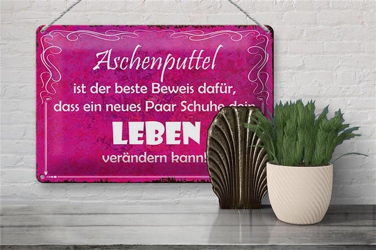 Blechschild Spruch 30x20cm Aschenputtel Schuhe ändern Leben