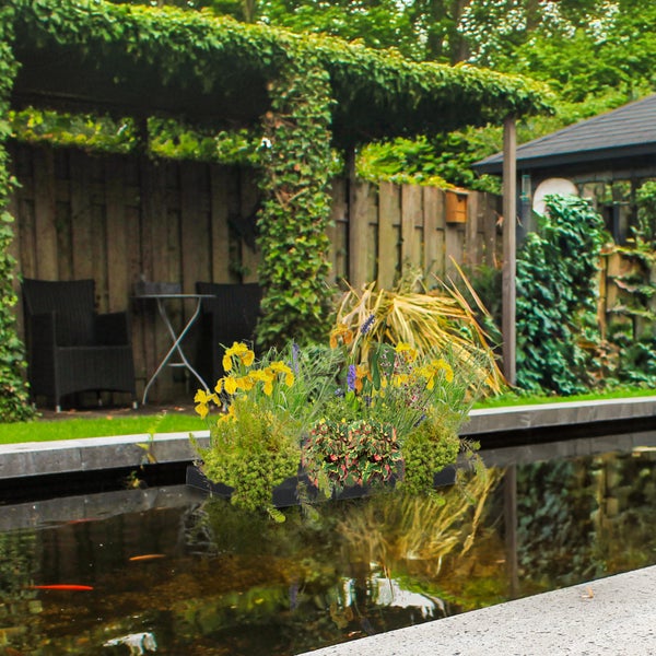 Bepflanzte schwimmende Teichinsel in einem Gartenteich mit gelben Schwertlilien, im Hintergrund ein Holzzaun und eine Pergola.