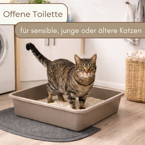 Offene Katzentoilette in einem hellen Raum mit einer getigerten Katze. Geeignet für sensible, junge oder ältere Katzen.