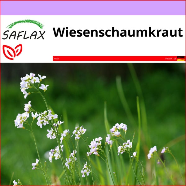 SAFLAX  - Wiesenschaumkraut - Cardamine pratensis - 100 Samen