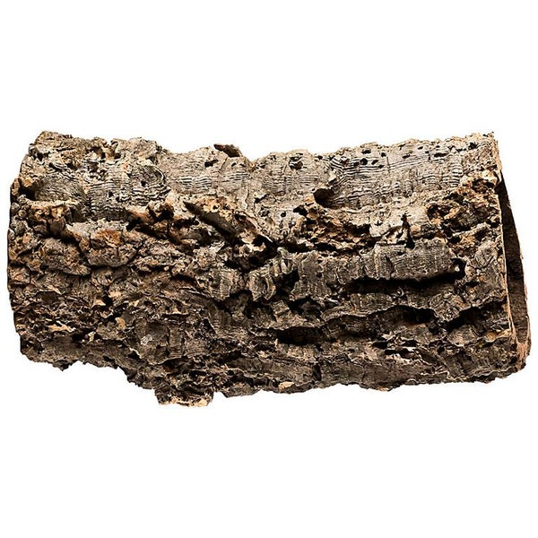 Korkröhre aus Naturkork, hohl, strukturierte Oberfläche, zur Dekoration von Terrarien und als Versteck für Nagetiere.