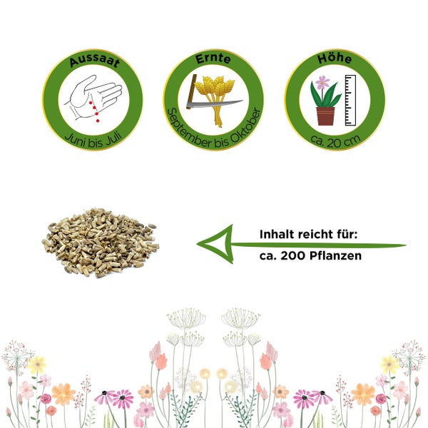 Samen: Aussaat von Juni bis Juli, Ernte von September bis Oktober, Wuchshöhe circa 20 Zentimeter, Inhalt reicht für circa 200 Pflanzen.