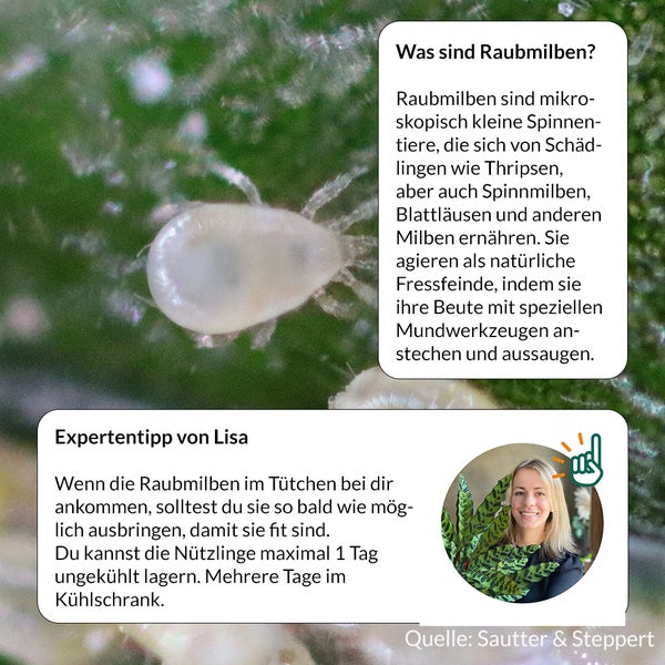 Informationen über Raubmilben und Expertentipps zur Lagerung