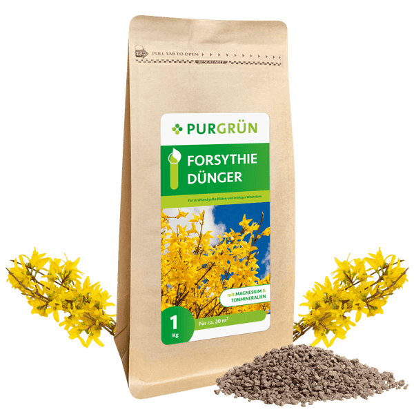 Purgrün Forsythie-Dünger 1 kg