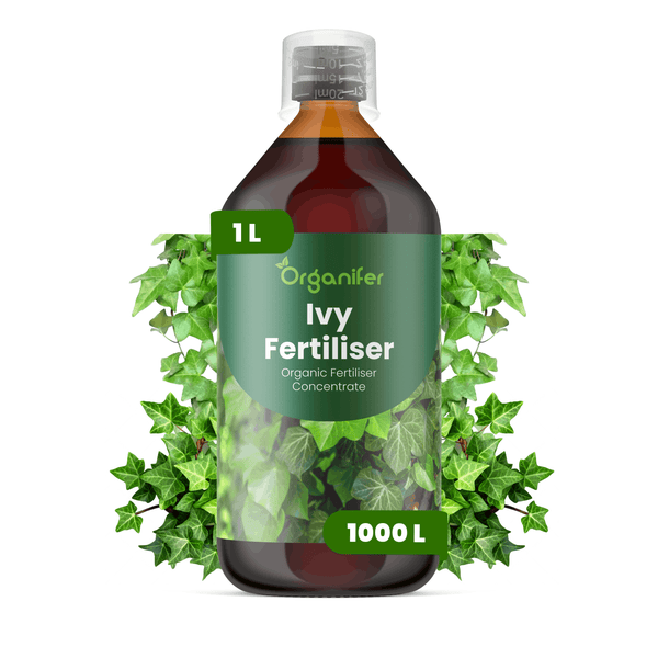 Organifer Efeu-Dünger, 1 Liter Flasche, organisches Düngerkonzentrat für 1000 Liter, mit Messkappe.