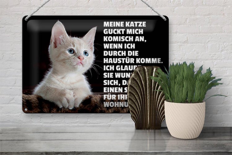 Blechschild Spruch 30x20cm Katze guckt mich komisch an