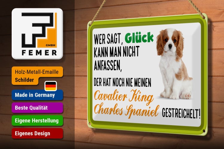 Blechschild Spruch 30x20cm Cavalier King Charles Spaniel