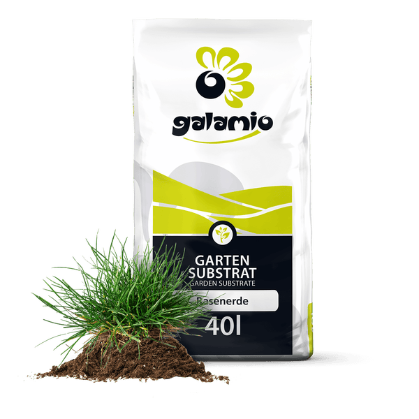 galamio Gartensubstrat Rasenerde im 40 Liter Sack mit galamio Logo und einem Grasbüschel auf Erde im Vordergrund.