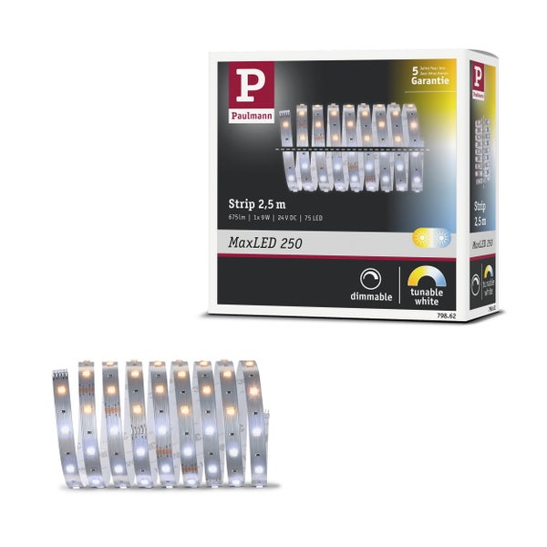 Ein LED-Streifen, Länge 250 Zentimeter, Breite 12,5 Millimeter, Höhe 3 Millimeter, kürzbar alle 167 Millimeter, 5 Jahre Garantie.