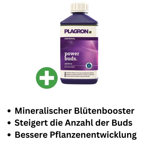 Plagron Power Buds 100 ml - Blütenbooster für kräftige Ernten | Schnelle Blütenbildung & Mehr Knospen in Erde & Hydrosystemen