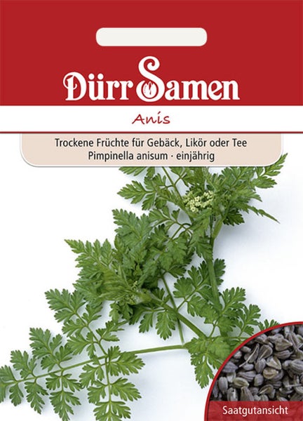 Rückseite der Samentüte Carl Pabst Löwenmaul Zauberteppich mit Informationen zu Aussaat, Standort, Kultur und Blüte. Carl Pabst Logo.