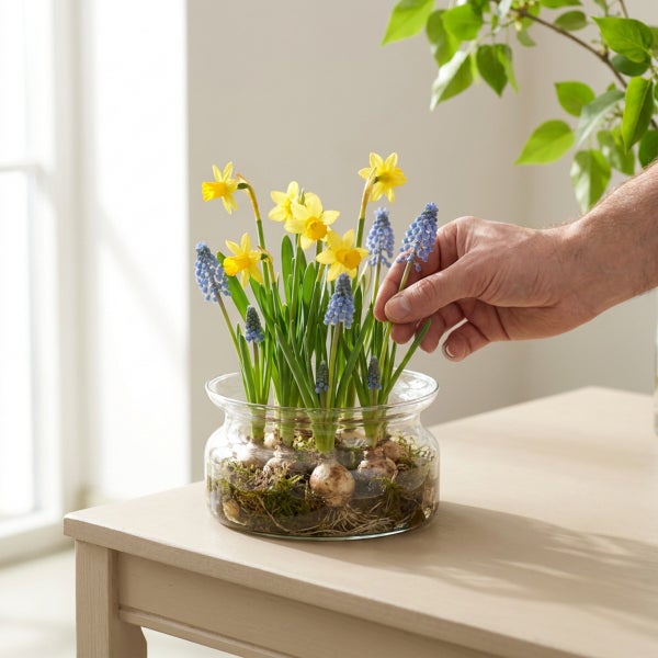 Eine Hand berührt Frühlingsblumen mit Narzissen und Traubenhyazinthen, die in einer runden Glasschale mit Moos auf einem Tisch stehen.