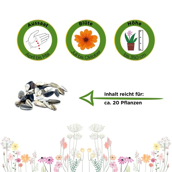 Sonnenblumen Einfache Riesen Samen von Deine Gartenwelt