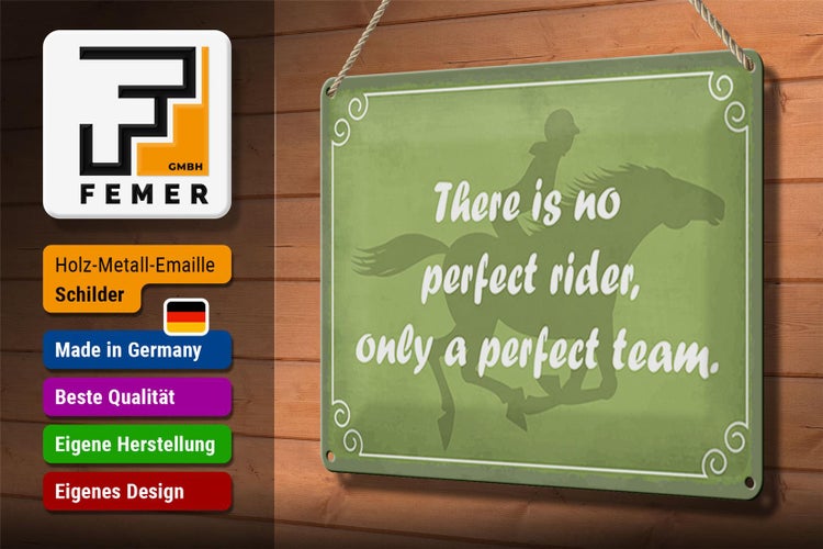 Blechschild Spruch 30x20cm there is no perfect rider only