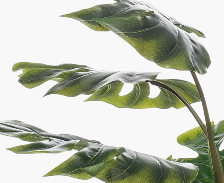 Detailansicht der grünen Blätter einer künstlichen Monstera Kunstpflanze.