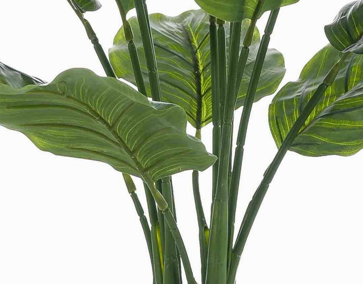 Künstliche Grünpflanze mit großen Blättern und segmentierten Stielen.