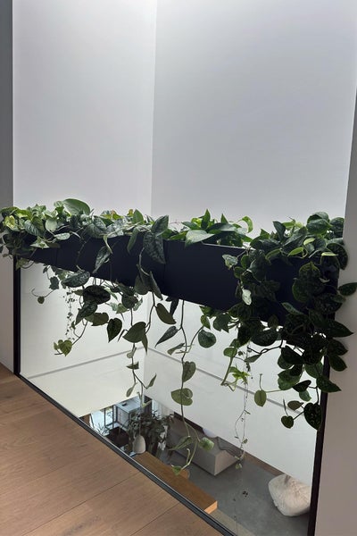 Ein moderner heller Innenraum mit einem schwarzen rechteckigen Pflanzkasten an einem Glasgeländer und herabhängenden grünen Zimmerpflanzen.
