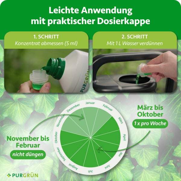 Anleitung für Purgrün Dünger: 5 Milliliter Konzentrat abmessen, mit 1 Liter Wasser verdünnen. März bis Oktober wöchentlich düngen. Purgrün Logo.