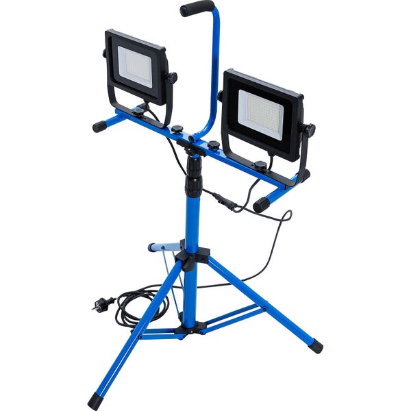 Mehrere immergrüne Formgehölze in schwarzen Töpfen auf einem Transportwagen in einer Gärtnerei mit Gewächshäusern und Palmen.