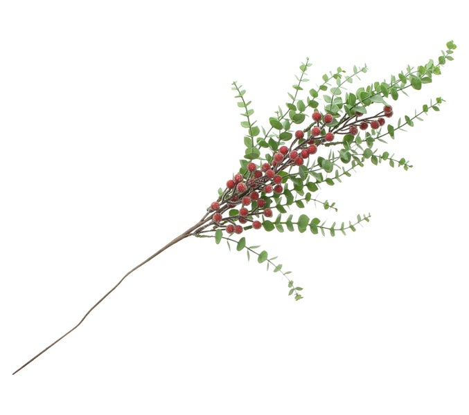 Dekorativer Zweig mit grünen Blättern und roten Beeren als Dekoration