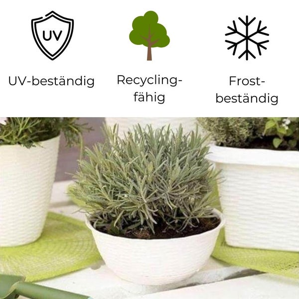 Pflanzschale Blumenschale Untersetzer Rattan Optik Kunststoff Friedhof Garten anthrazit 40 cm