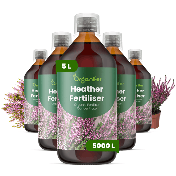 Fünf Flaschen Organifer Heidedünger Konzentrat, je 5 Liter für circa 5000 Liter biologischen Dünger, dargestellt mit Heidekraut-Pflanzen.