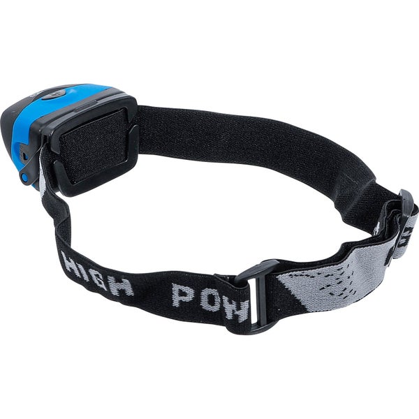 Blühender Rhododendron im Garten