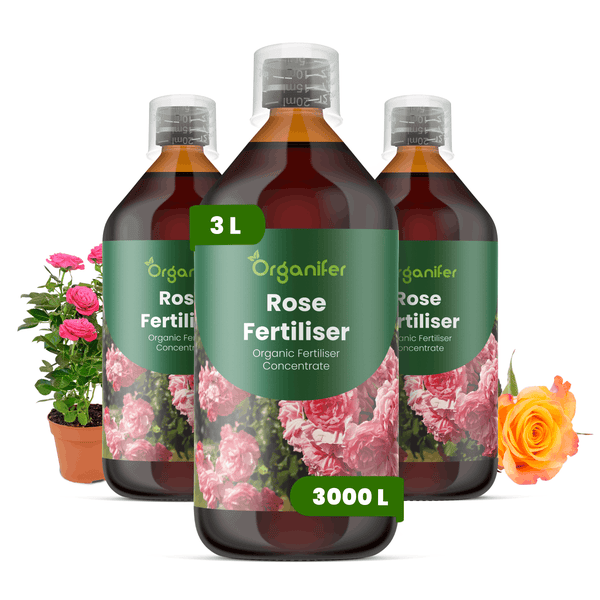Organifer Rosendünger, organisches Flüssigkonzentrat, 3 Liter Set, ausreichend für 3000 Liter, mit Messkappe.