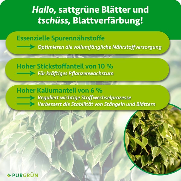 Infografik zum Purgruen Pflanzendünger mit Informationen zu Inhaltsstoffen wie Stickstoff und Kalium für kräftiges Wachstum und gesunde Pflanzen.