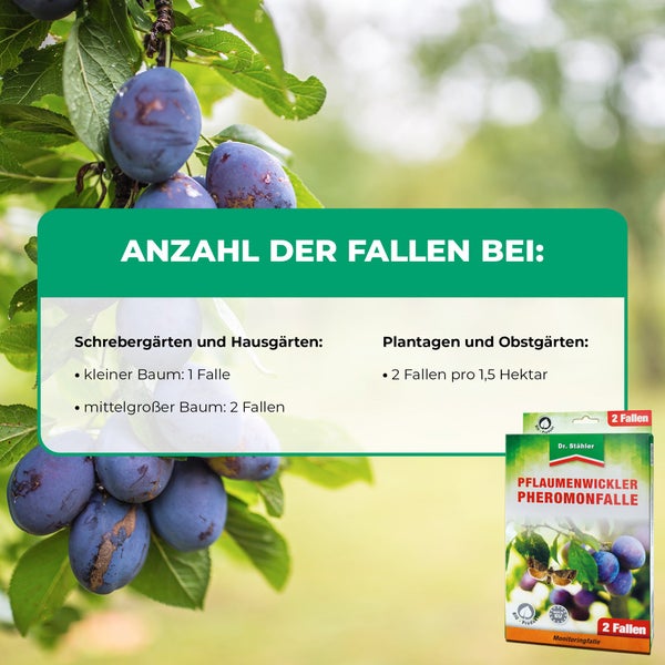 Pflaumenwickler Pheromon-Falle – Monitoringfalle zur Bekämpfung des Pflaumenwicklers – Ohne Insektizide – Für Hausgarten, Obstbaum & Plantage