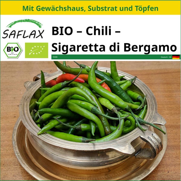 SAFLAX Anzucht Set - BIO – Chili – Sigaretta di Bergamo - Capsicum annuum - 10 Samen - Mit Mini-Gewächshaus, Anzuchtsubstrat und 2 Töpfen