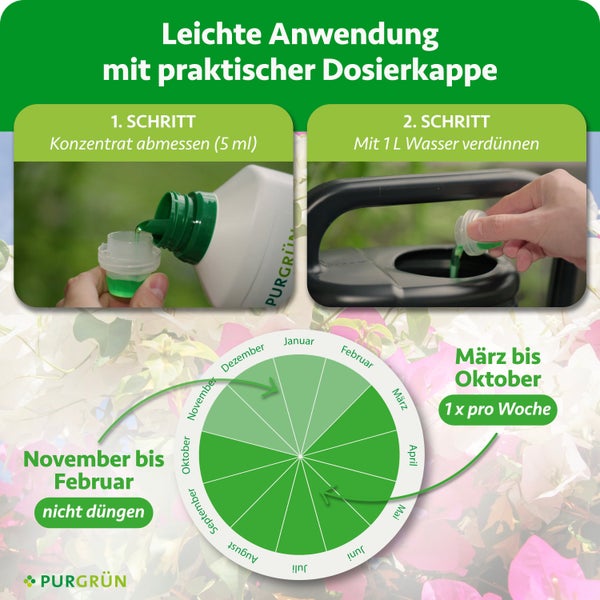 Anleitung für Flüssigdünger: 5 Milliliter abmessen, mit 1 Liter Wasser mischen. Von März bis Oktober wöchentlich düngen. Purgrün Logo.