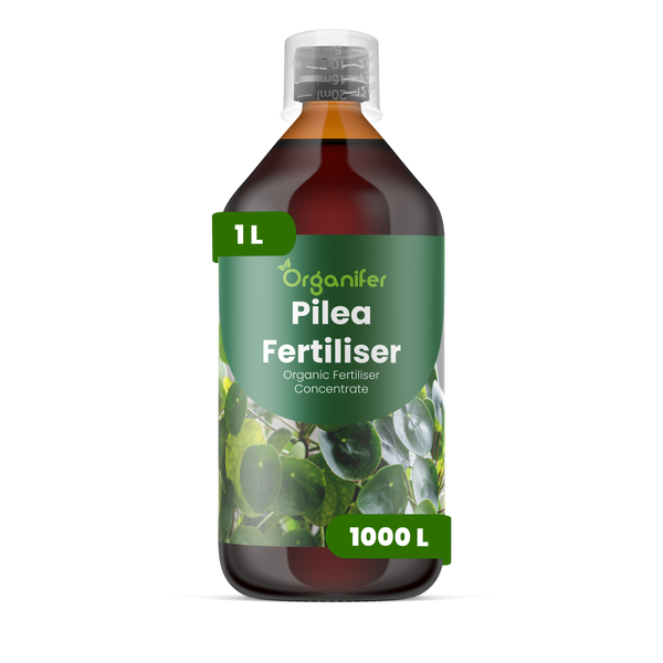 Organifer Pilea Dünger, 1 Liter organisches Düngerkonzentrat für Pilea-Pflanzen, ergibt 1000 Liter Dünger.