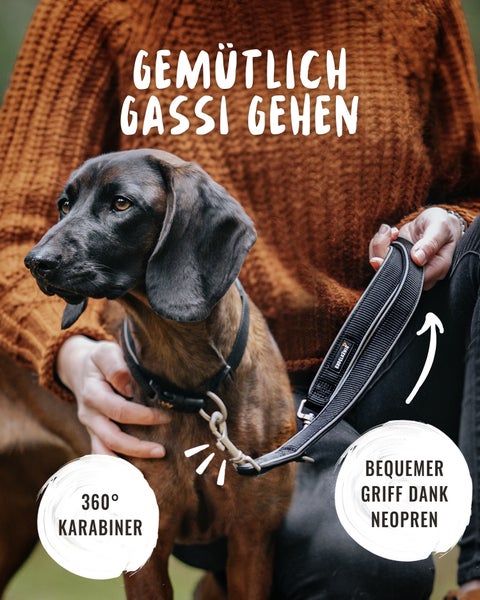 Schwarze, verstellbare Hundeleine mit Reflexstreifen und zwei Karabinern.