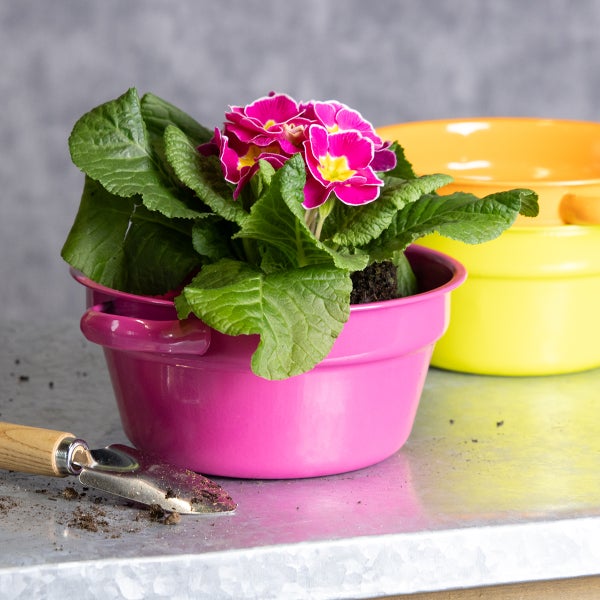 Primel in einem pinkfarbenen Übertopf mit Pflanzschaufel