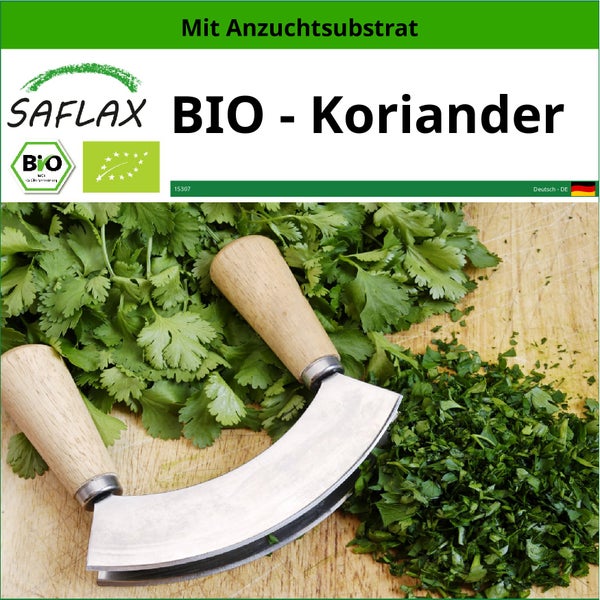 SAFLAX  - BIO - Koriander - Coriandrum sativum - 150 Samen - Mit keimfreiem Anzuchtsubstrat